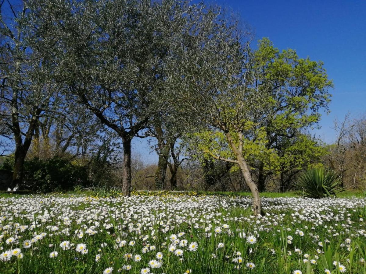 Domaine De Seguela Bed & Breakfast Fargues  Exterior photo